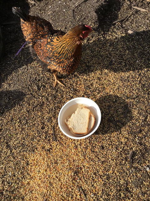 Nextdoor@portarthur - Tourism TAS 16