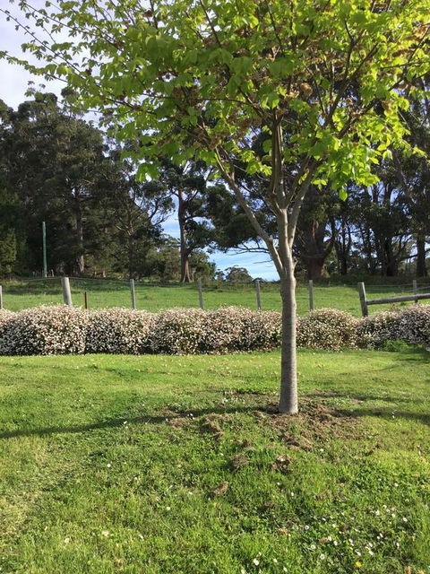 Nextdoor@portarthur - Tourism TAS 17