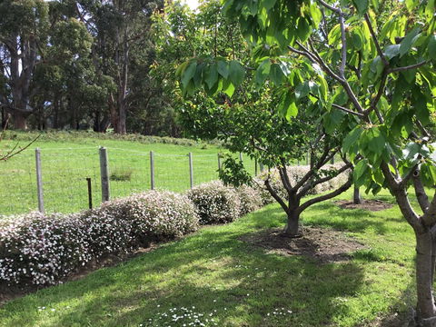 Nextdoor@portarthur - Tourism TAS 18