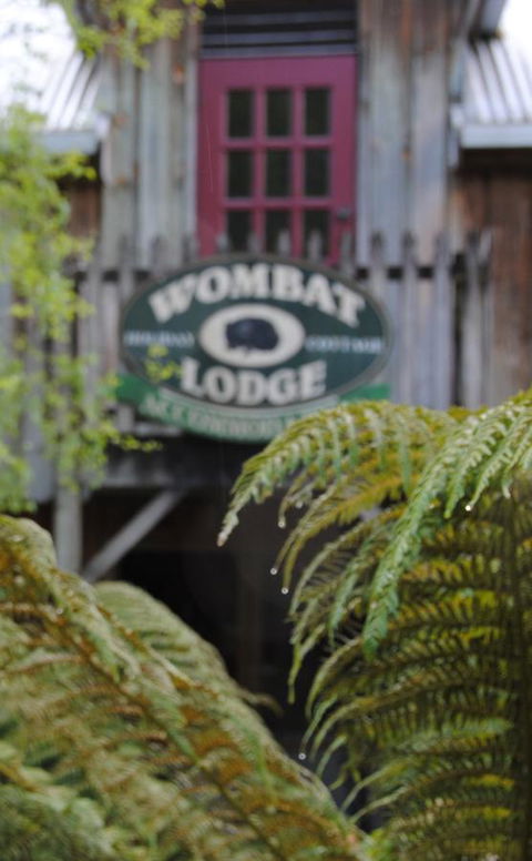 The Wombat Cottage - Tourism TAS 0