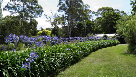 Tamar River Retreat - Tourism TAS 11