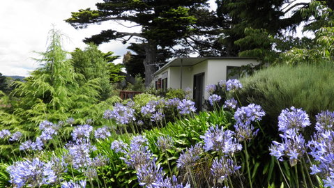 Tamar River Retreat - Tourism TAS 28