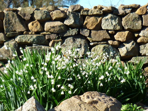Wagners Cottages - Tourism TAS 11