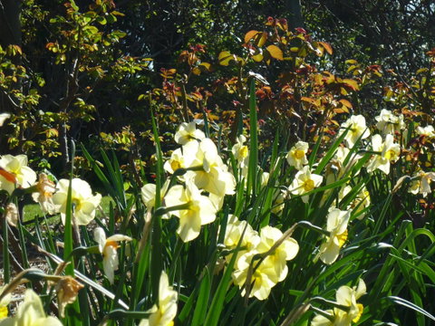Wagners Cottages - Tourism TAS 13