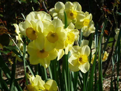 Wagners Cottages - Tourism TAS 14