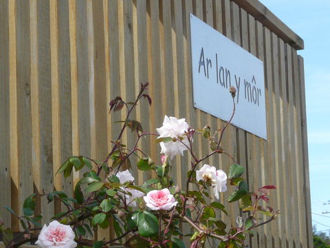 Ar Lan Y Mor - Tourism TAS 12