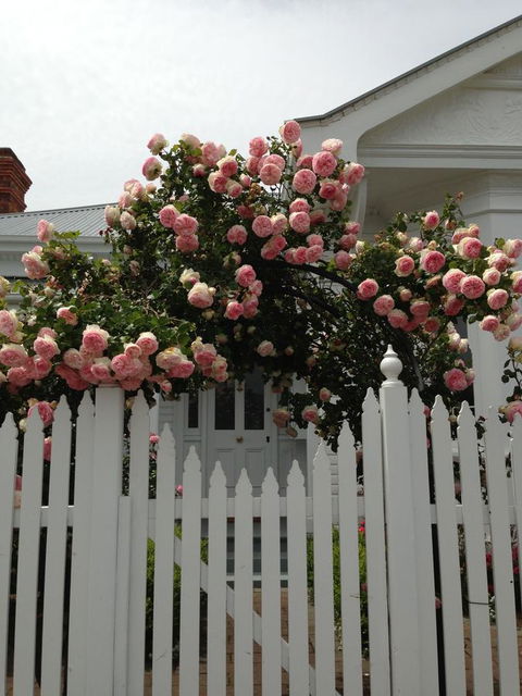 White Dove Cottage Bed And Breakfast - Tourism TAS 10