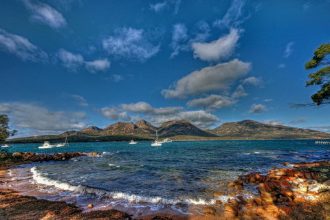 Rest Point - Tourism TAS 8