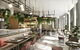 Hotel Chadstone Melbourne, MGallery - thumb 11