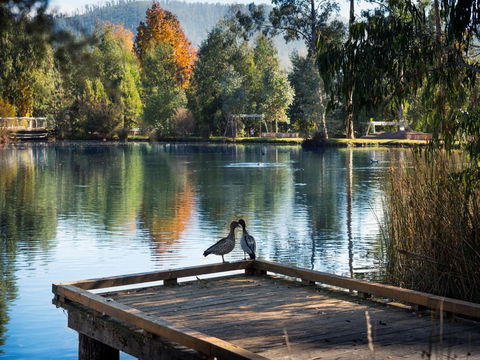 Peppers Marysville - Tourism TAS 12