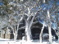 Book Dinner Plain Accommodation Vacations Tourism TAS Tourism TAS