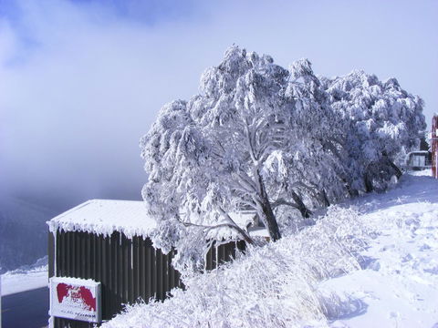 Arlberg Hotham - Hobart Tourism 15