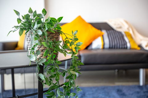 Brand New One/Two - Bed Room Apartment @ Maribyrnong - Hobart Tourism 0
