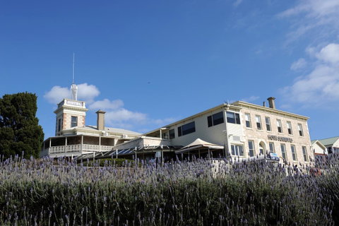 Hotel Sorrento - Tourism TAS 30