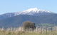 High Country Holiday Park - thumb 34