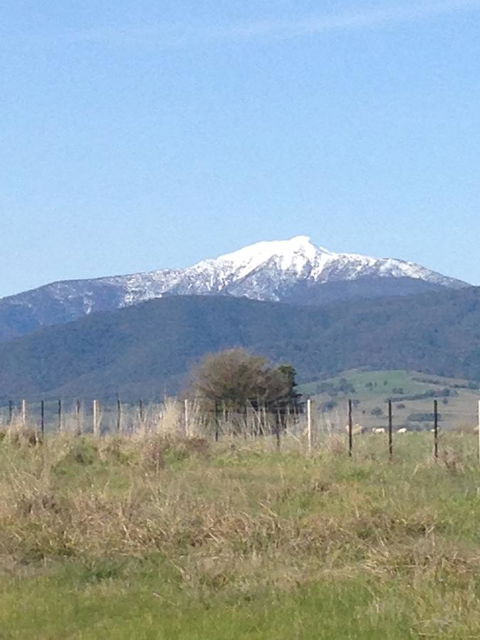 High Country Holiday Park - Hobart Tourism 34