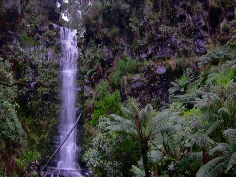 Great Ocean Road Resort - Hobart Tourism 16