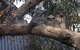 Kookas Retreat - thumb 15