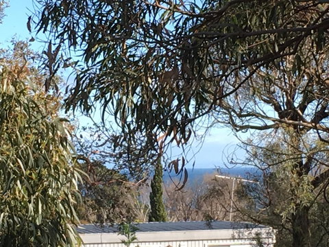 Kookas Retreat - Tourism TAS 17