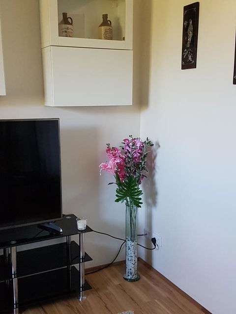 Romsey Homestay - Hobart Tourism 8