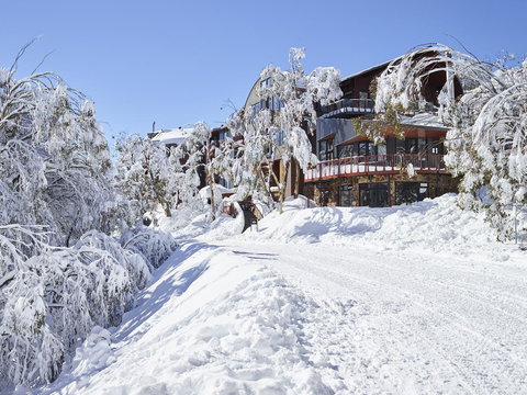 Astra Falls Creek - Hobart Tourism 3