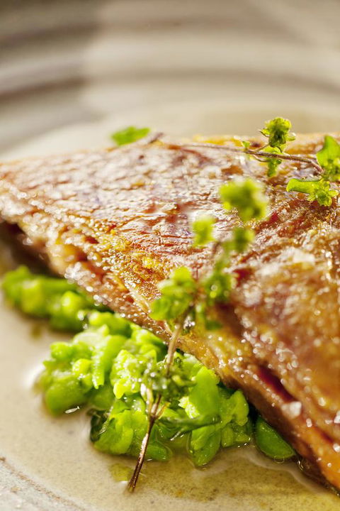 Crown Metropol Melbourne - Tourism TAS 26