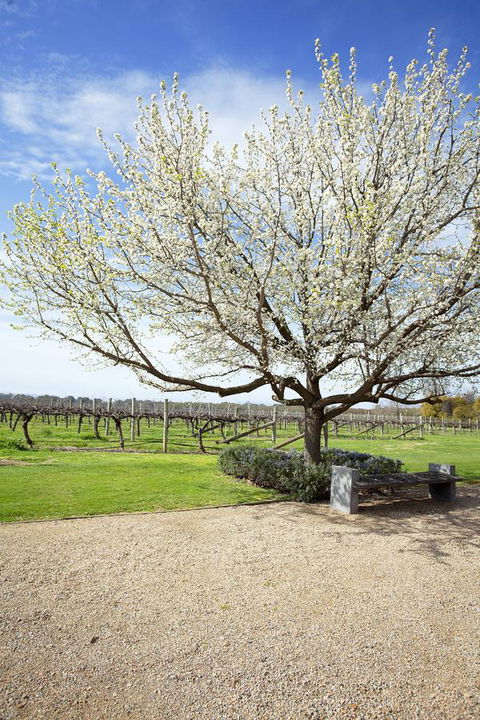 Lancemore Milawa - Tourism TAS 12