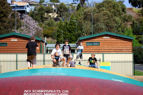 Tasman Holiday Parks - Geelong - Hobart Tourism 4