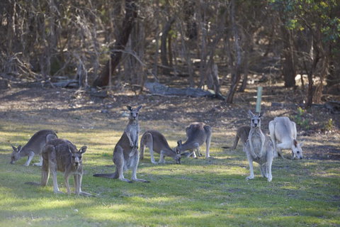 Yering Gorge Cottages - Tourism TAS 14