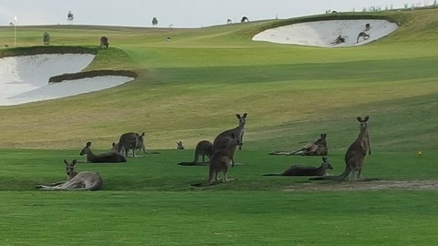 Yering Gorge Cottages - Tourism TAS 10