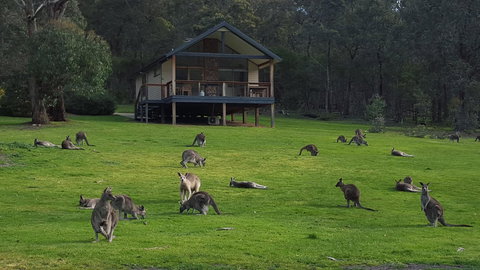 Yering Gorge Cottages - Tourism TAS 6