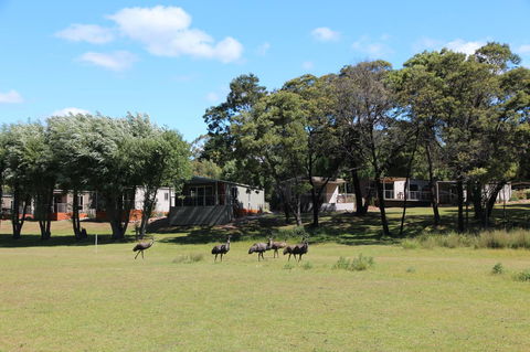 Halls Gap Lakeside Tourist Park - Tourism TAS 1