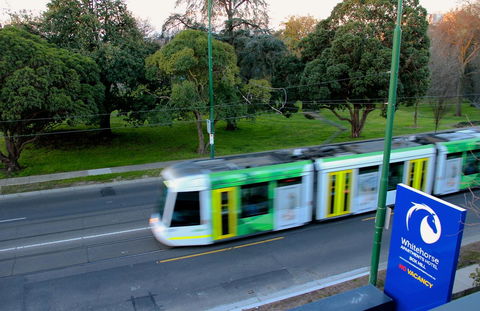 Whitehorse Apartments Hotel - Tourism TAS 13