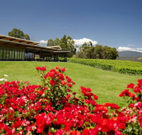 Balgownie Estate Vineyard Resort  Spa - Hobart Tourism