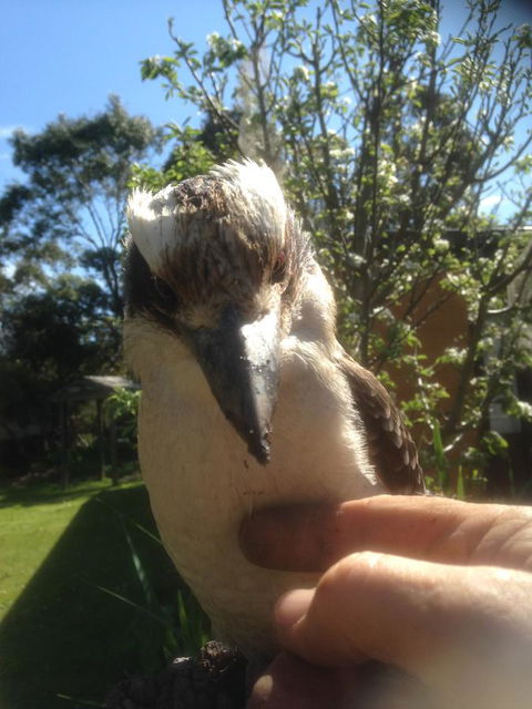 Mud Hollow Barn - Hobart Tourism 8