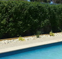 Robinvale Bridge Motel - Hobart Tourism
