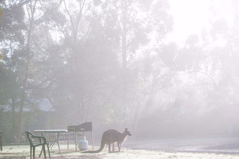 Gariwerd Motel - Tourism TAS 18