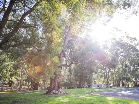 Gariwerd Motel - Tourism TAS 7