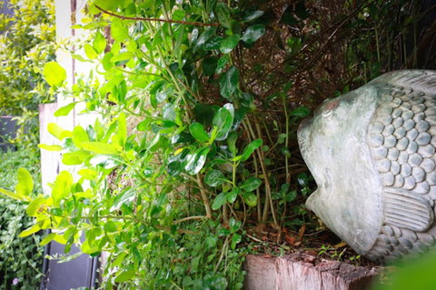 Capella Villa No. 4 - Stunning Luxury Decor Inside And Out - Hobart Tourism 15