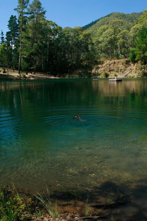 The Harrietville Snowline Hotel - Tourism TAS 38