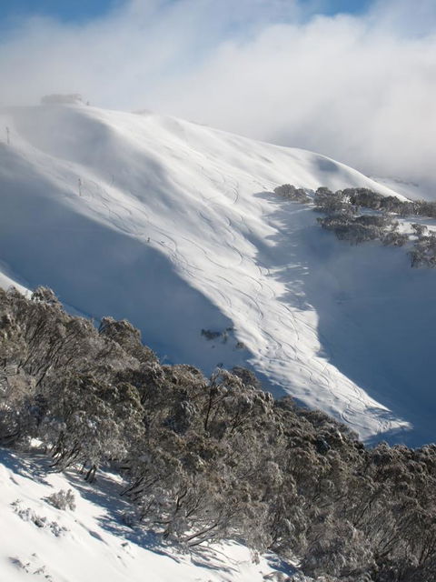 The Harrietville Snowline Hotel - Tourism TAS 29