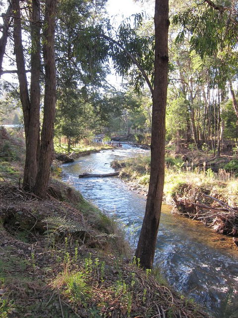 The Harrietville Snowline Hotel - Tourism TAS 35
