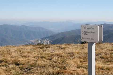 The Harrietville Snowline Hotel - Tourism TAS 31