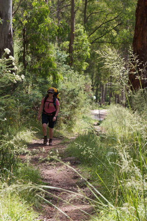 The Harrietville Snowline Hotel - Tourism TAS 11