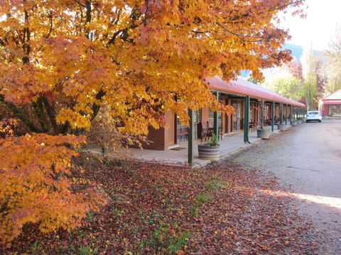 The Harrietville Snowline Hotel - Tourism TAS 21