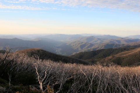 The Harrietville Snowline Hotel - Tourism TAS 36