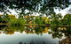 BIG4 Castlemaine Gardens - thumb 19