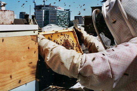 Alto Hotel On Bourke - Tourism TAS 14