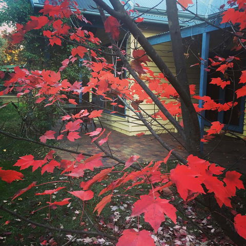 The Orchard House - Tourism TAS 27