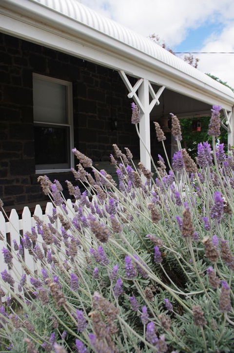Little River Bed And Breakfast - Hobart Tourism 30